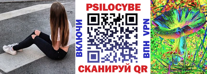 Галлюциногенные грибы Psilocybe  Морозовск 